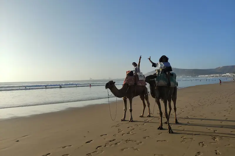 Two riders on camels on the beach at Agadir in the evening light
