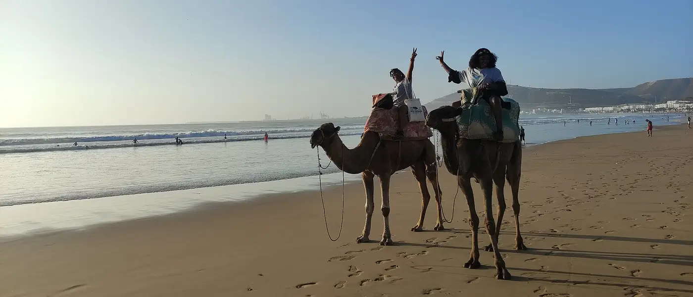 Two riders on camels on the beach at Agadir in the evening light